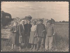 Збір цибулі