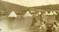 Турецька дивізія в Галичині у війні 1914-1918