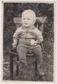 Portrait of a boy on a chair