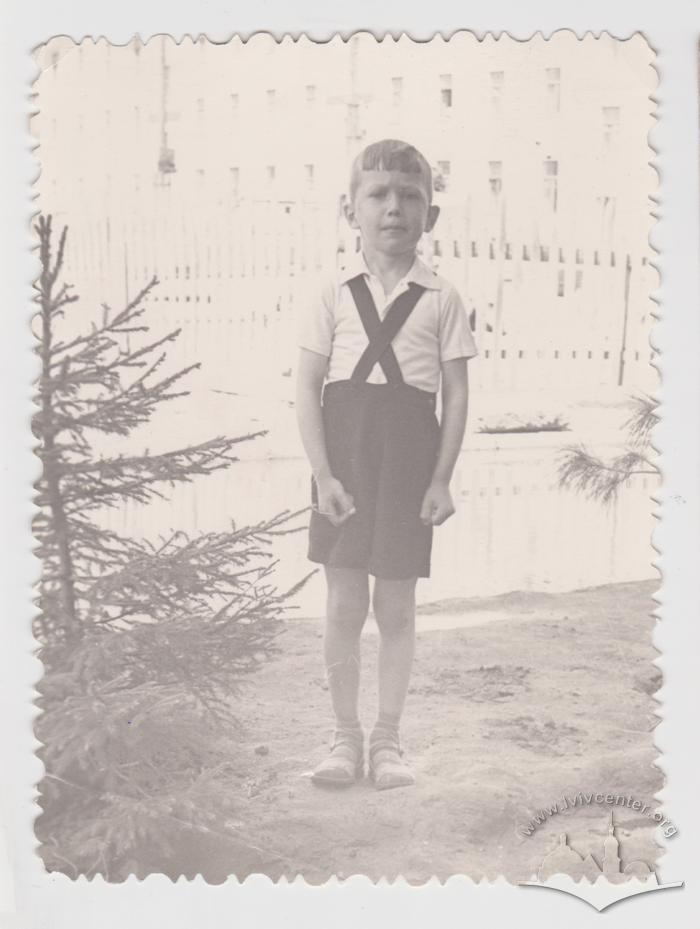 Portrait of a boy next to a New Year tree 1