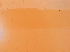 Прогулянка по Дніпру. Плавці