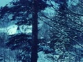 Спартакіада в Карпатах