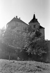 Jan III Sobieski castle in Olesk
