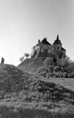 Danylovychiv castle in Olesk