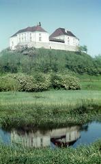 General view of Oleskyi castle