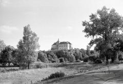 View of Oleskyi castle